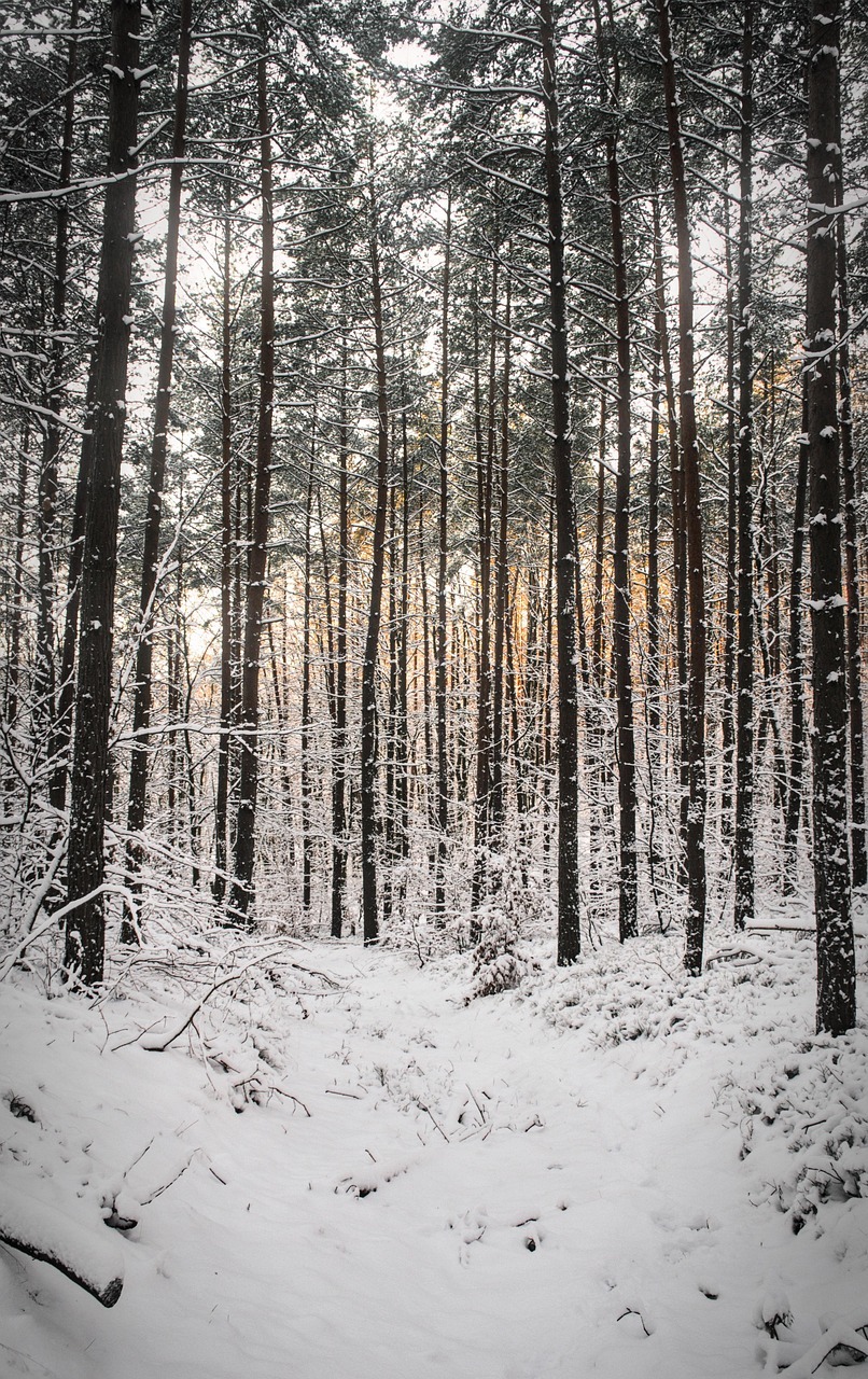 Episode: The Altar Life: Worship Beyond Words Living Sacrificially for Christ by Beth Barlet